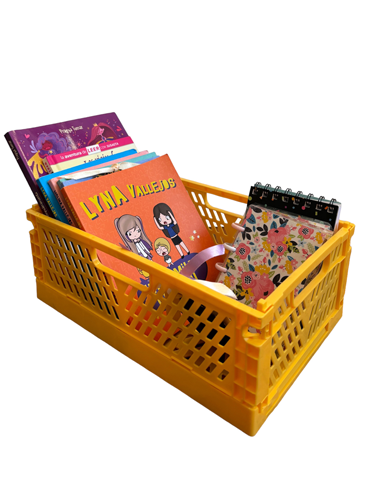 Contenedor organizador plegable grande multiuso